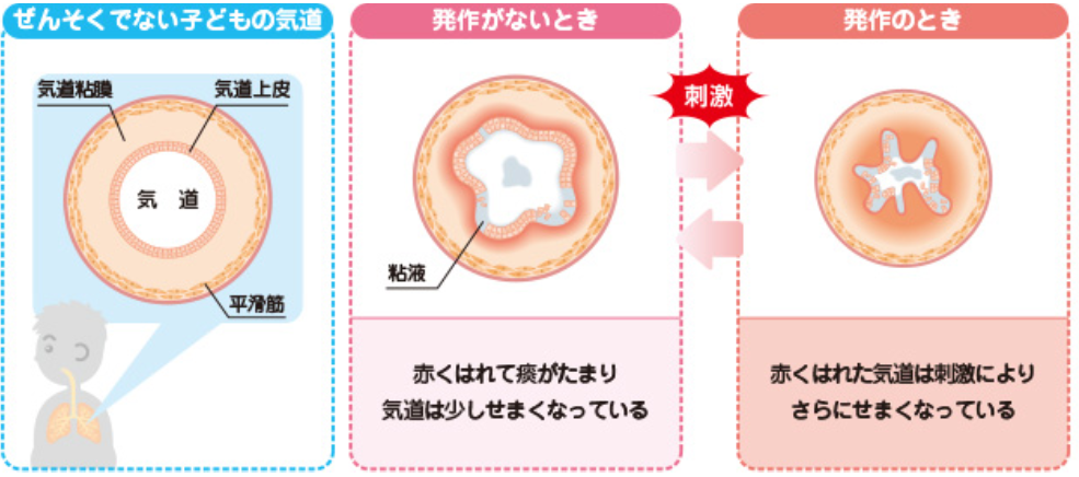 医師に相談する